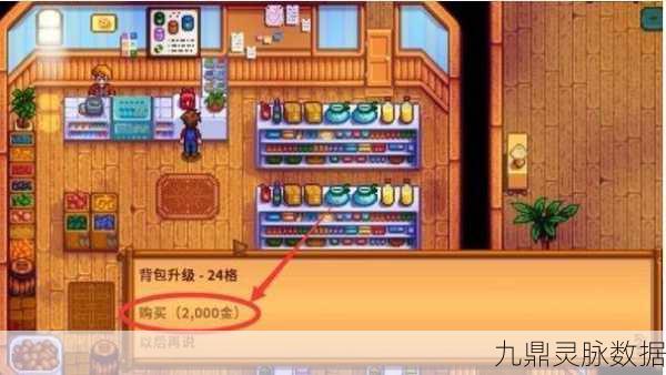星露谷物语背包扩容全攻略,轻松提升储物能力