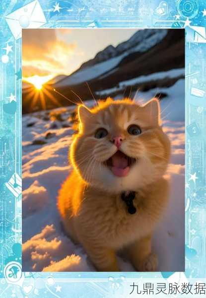 猫友圈猫咪的旅行,一场心灵治愈的萌宠养成之旅