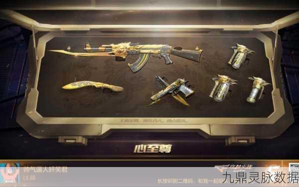 2025年CF手游，王者之心手雷套装深度评测