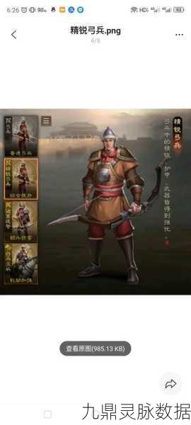三国志战棋版庞德深度攻略，解锁全能战将的无限可能