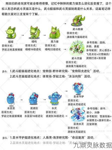 洛克王国蜃境跃迁,最佳宠物选择与深度策略解析