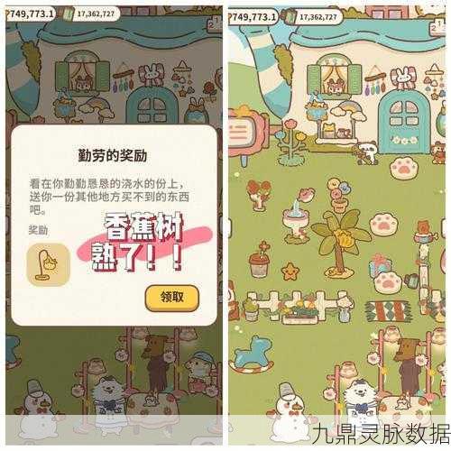解锁动物餐厅隐藏宝藏,沙漠盆栽的种植与养护秘籍