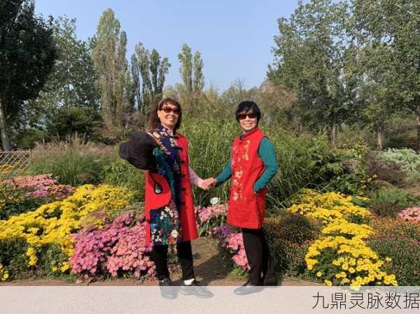立扫把挑战风靡指尖,休闲新游预约正当时