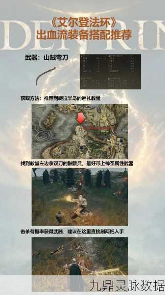 艾尔登法环深度探索，揭秘鲜血征收战灰的高效获取秘籍