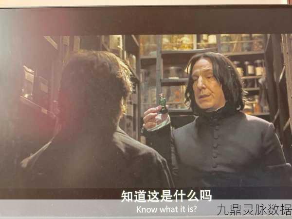 哈利波特与混血王子揭秘，斯内普的真实身份