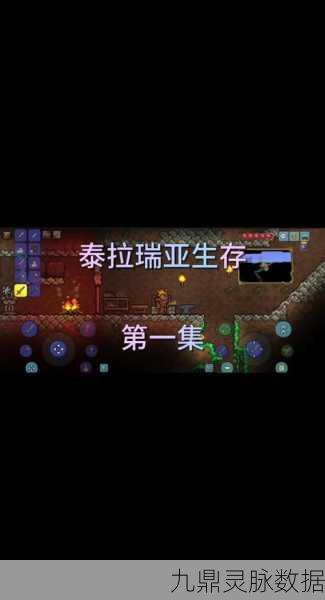 泰拉瑞亚月光草种植秘籍,解锁夜晚的蓝色奇迹