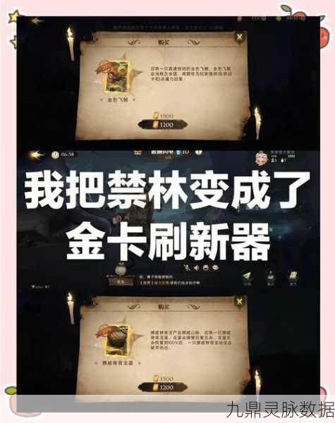 哈利波特游戏,解锁高段位组队秘籍与资源管理艺术
