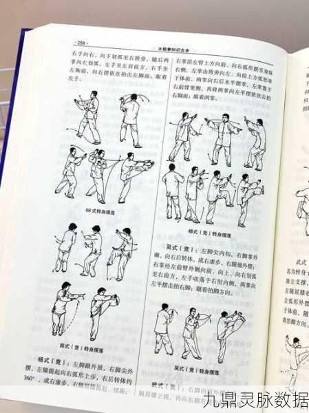 封神召唤师太极图深度解析,法宝属性与技能全揭秘