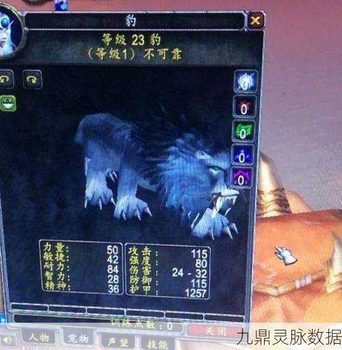 魔兽世界BL玩家攻略,轻松收集50个小宠物