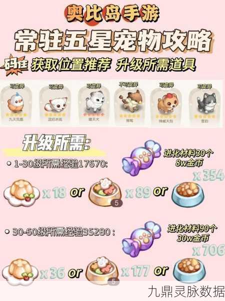 奥比岛梦想国度宠物养成秘籍，新手蜕变专家的全路径探索