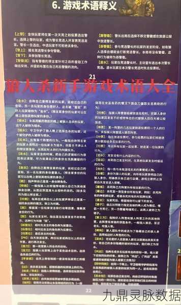天天狼人杀,深度揭秘游戏术语与策略指南