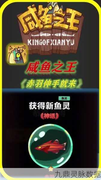 咸鱼之王赤羽升星全攻略,揭秘五星之路