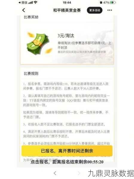和平精英赏金赛，合法性与玩法深度解析