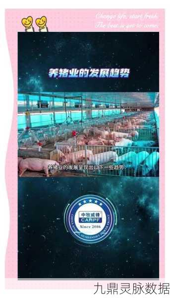 幸福养猪场,一场不可错过的趣味模拟经营盛宴