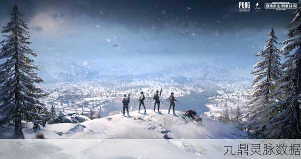 绝地求生韩服,东方战场上的生存艺术深度探索