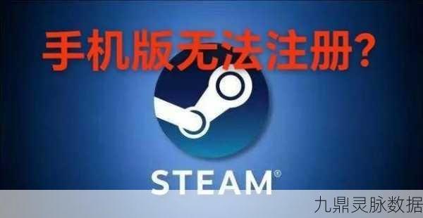 手机Steam登录难题，玩家如何绕过障碍畅享游戏世界