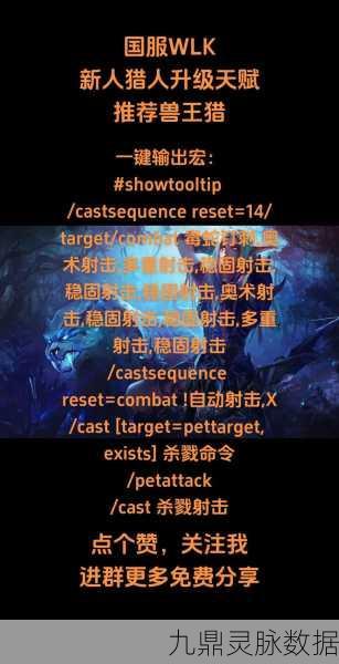 80级WLK猎人无脑一键宏，猎人技能释放新境界