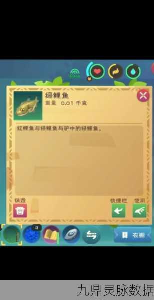 创造与魔法,探寻绿鲤鱼的垂钓秘境