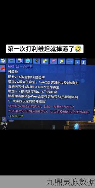 泰拉瑞亚灾厄幻灭心元石升级全攻略
