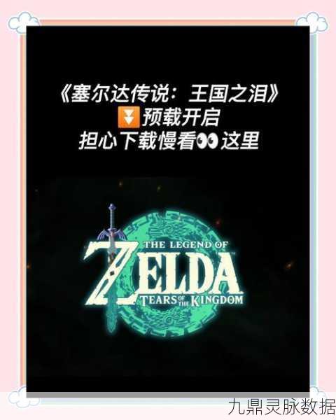 塞尔达早期积累金币的速度之王,深度策略揭秘