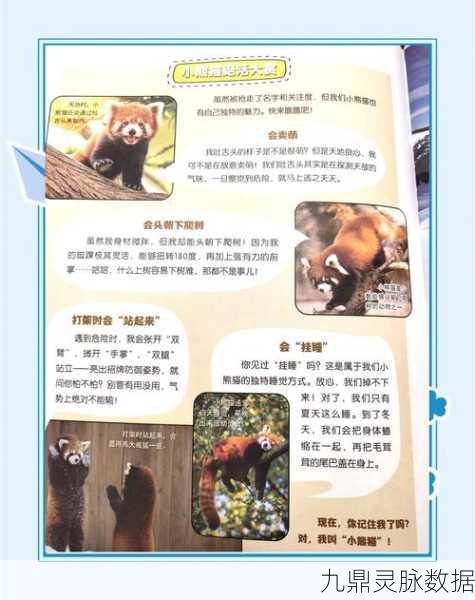 迷你世界，揭秘生小熊猫的奇妙之旅