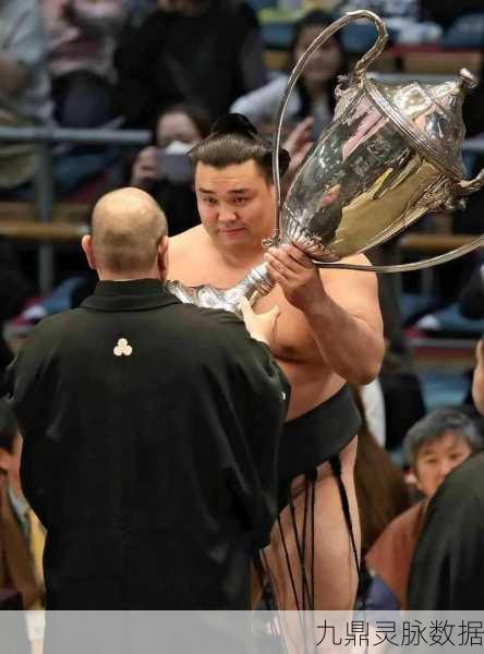 醉酒相扑大赛,手机上的趣味相扑对决