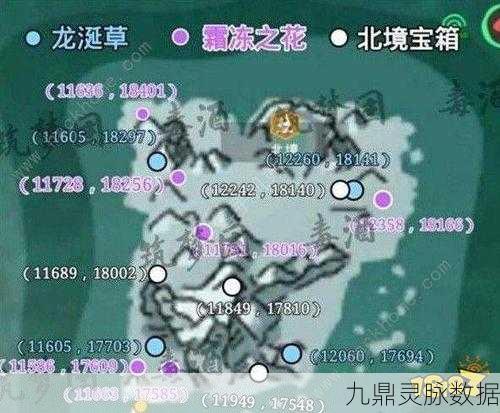 探秘奇幻世界,创造与魔法龙涎草的珍稀寻宝之旅