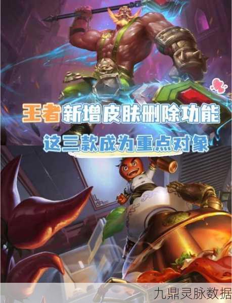王者荣耀取消皮肤展示全攻略