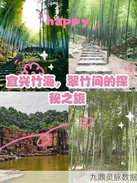 烟雨江湖翠竹采集地点全攻略，揭秘翠竹的隐秘角落