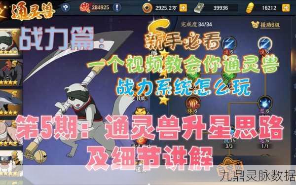 火影手游V8通灵兽蛞蝓,实战效能与技巧的深度探索