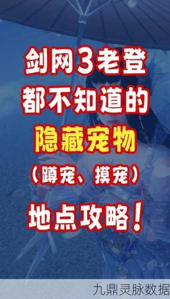 剑网三宠物奇遇触发秘籍，解锁萌宠的奇妙之旅