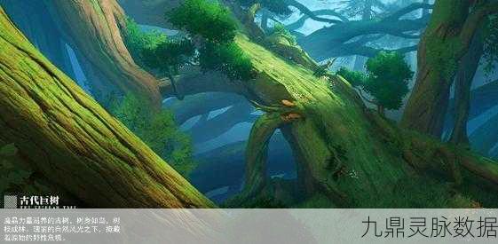 晶核古代巨树探索全揭秘,攻略在手,宝藏我有