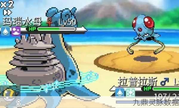 宝可梦大探险，揭秘乘龙的进化之谜
