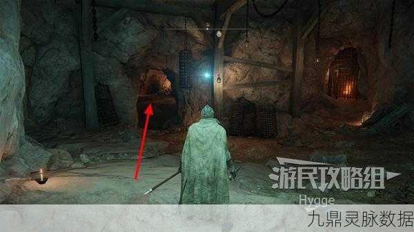 艾尔登法环深度探索,腐烂长生者骨灰获取全攻略