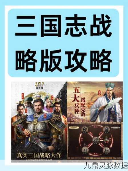 三国志战略版，揭秘丰富战法背后的策略世界