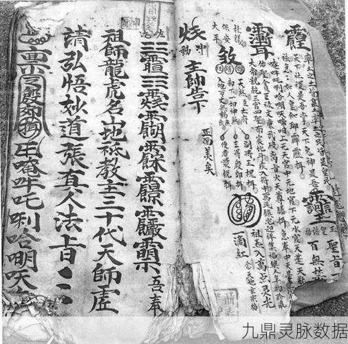 揭秘仙剑五饮血符,探索传奇符咒的终极奥义