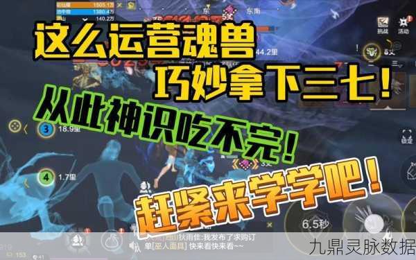 妄想山海神识之元,解锁神秘力量,全攻略大揭秘