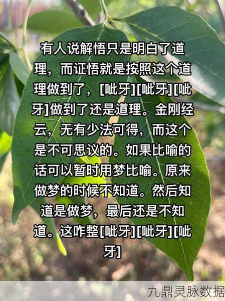 非匿名指令透悟与证成深度解析——新手进阶全攻略