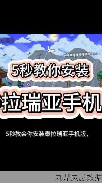 泰拉瑞亚手机版,揭秘藏宝袋的奇妙世界