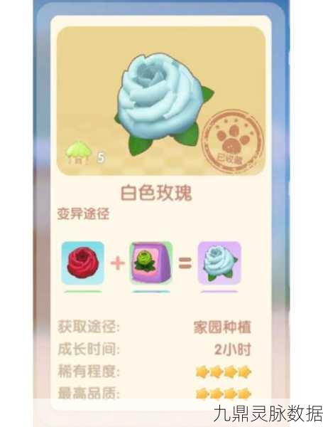 摩尔庄园新探索,揭秘怪怪糖豆的奇妙烹饪秘籍