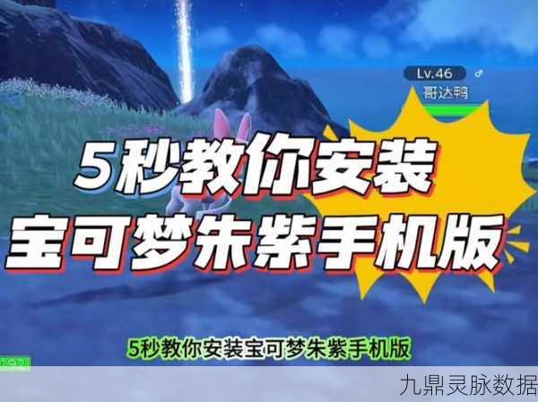 宝可梦朱紫,个性化边框颜色修改秘籍大公开