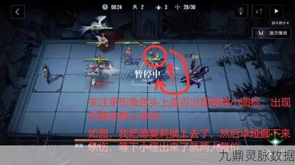 无期迷途莫莉,流血型坦克的实战强度剖析