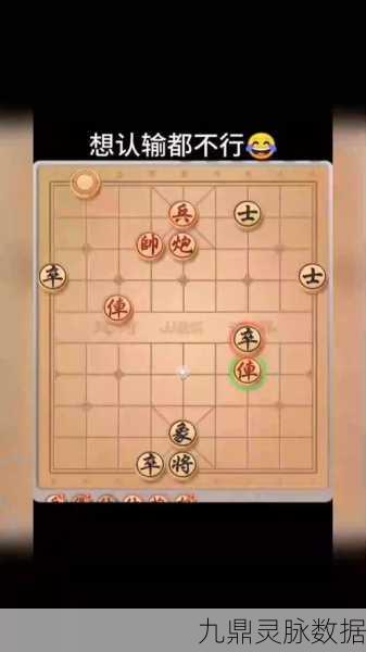 象棋智战风云,一场思维碰撞的盛宴