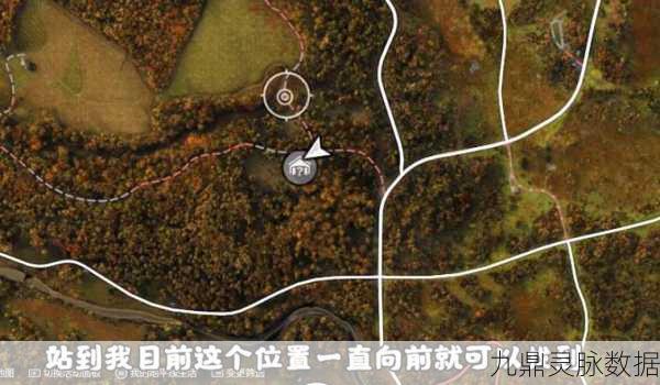 极限竞速地平线4财富岛,宝箱解锁秘籍大公开