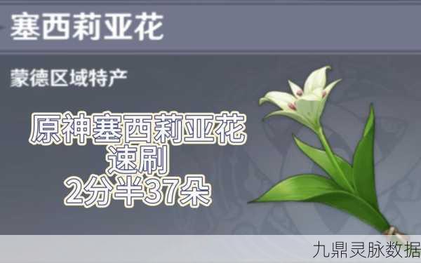 原神探索,塞西莉亚花的采集秘境