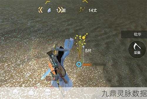 妄想山海枇华草寻觅指南，材料刷新位置全揭秘