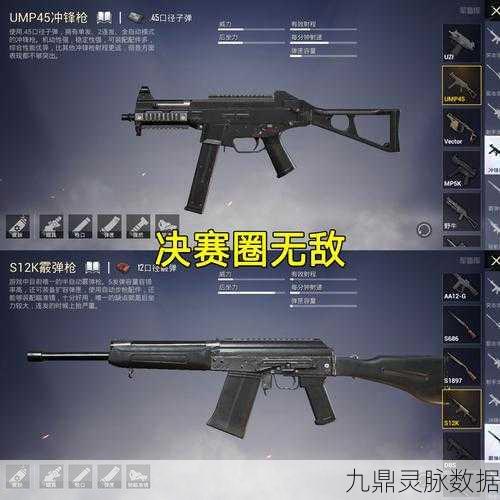 和平精英武器秒伤排行榜,揭秘制胜关键!