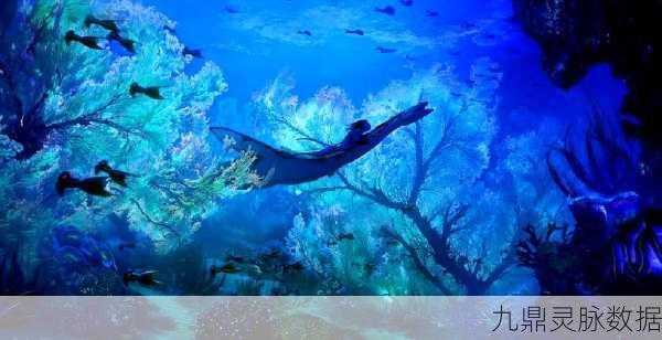 星球建造大师,解锁翅膀交易的奇幻之旅
