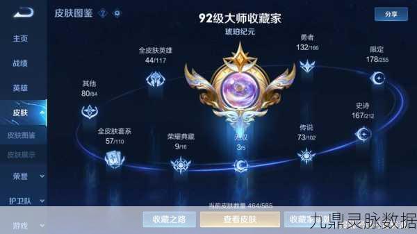 王者荣耀贵族标识隐藏术揭秘,低调中彰显真正王者风范!