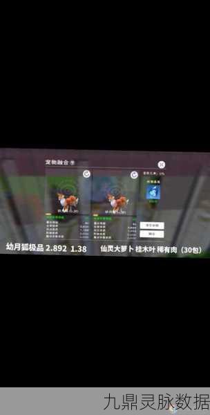 创造与魔法，解锁魔法巅峰，漫长旅程中的奇妙探索